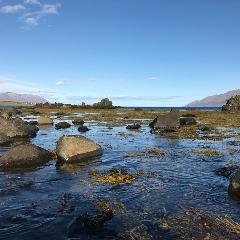 960700be-a7ea-4271-adac-012fb9120e0f_1_105_c