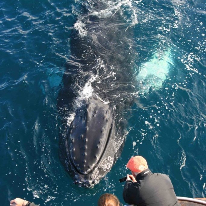 11adfe80-c197-4a35-b642-122ff2b4a3b3_1_105_c