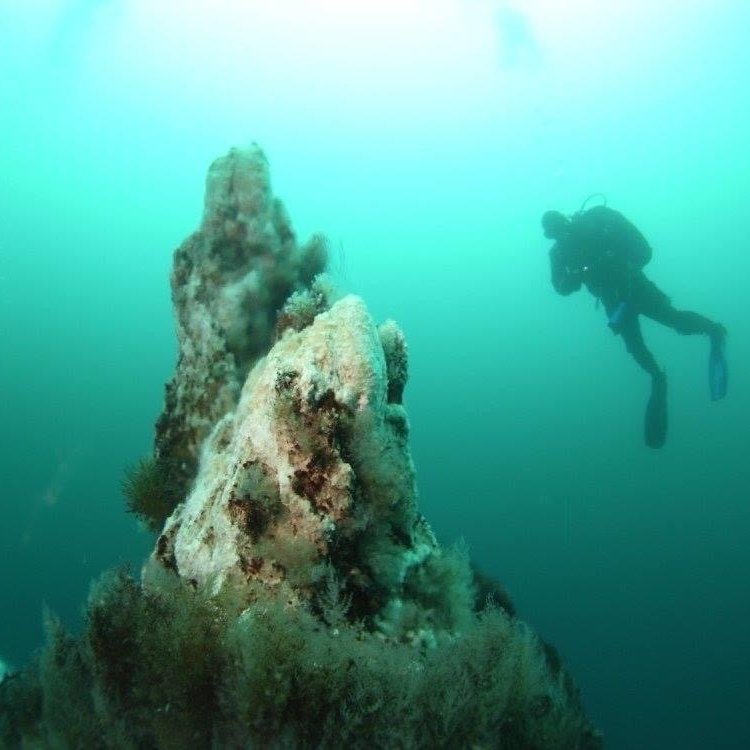 3cb800fa-a6d7-405e-9c08-83c45811b647