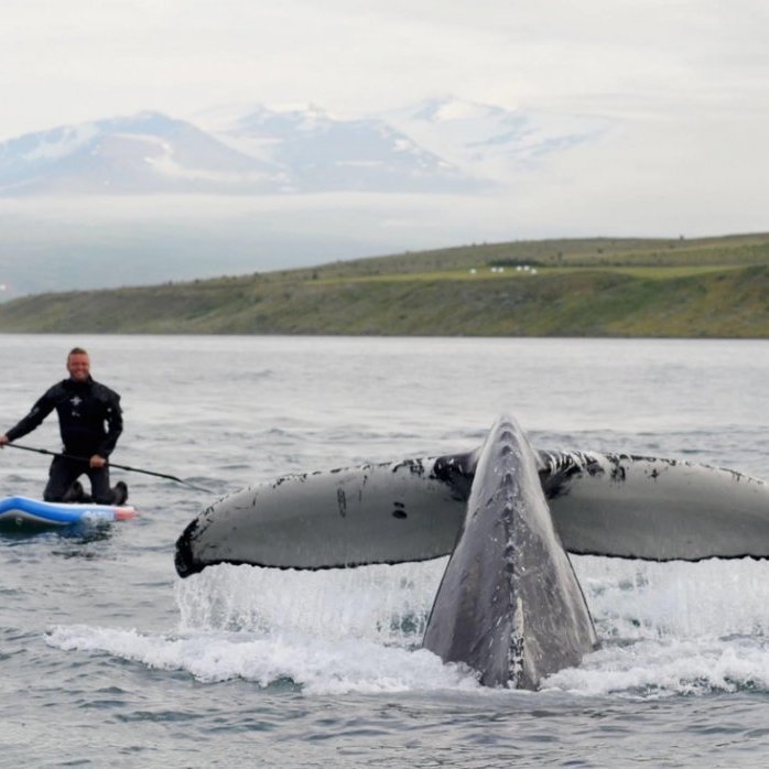 7b7e6817-bcde-45fd-9036-0d53b274221a_1_105_c