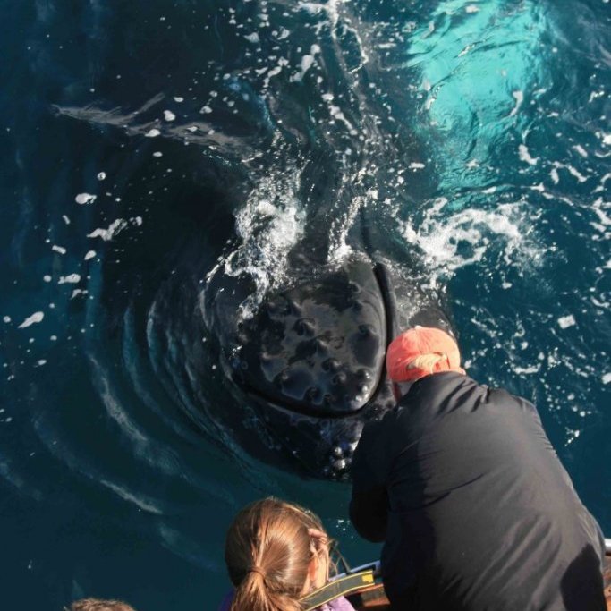 81f9dc3d-3e47-4332-9cb5-1a50f4a75e7c_1_105_c