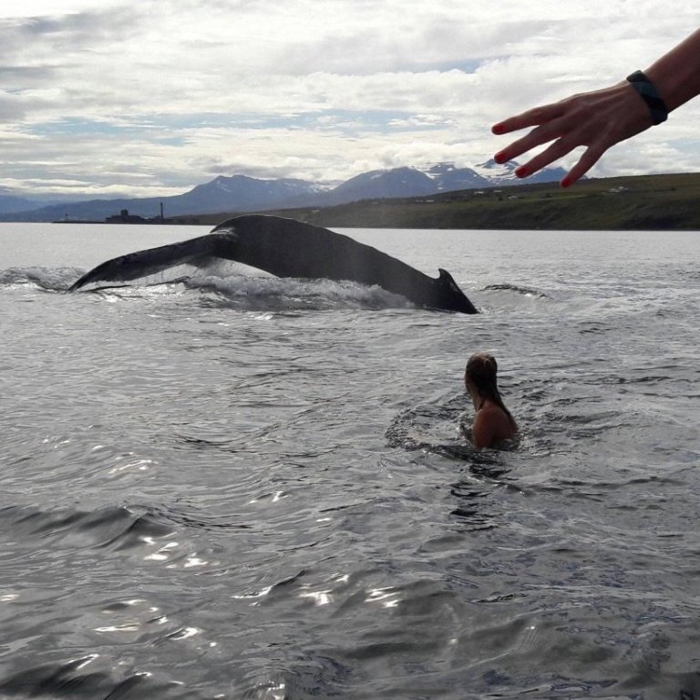 912d3221-4f2b-452d-8572-943a75bf08d2_1_105_c