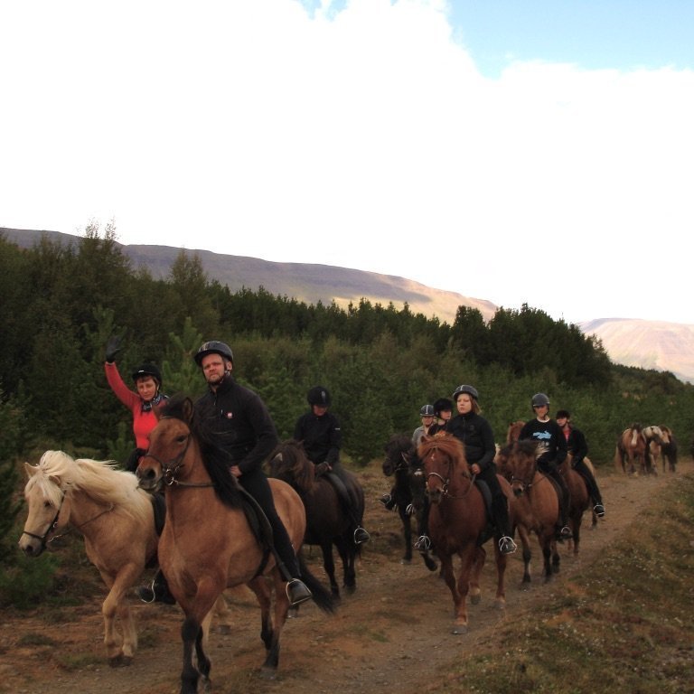 a9e23b93-23a1-4621-8d13-6657c52df7a2_1_105_c