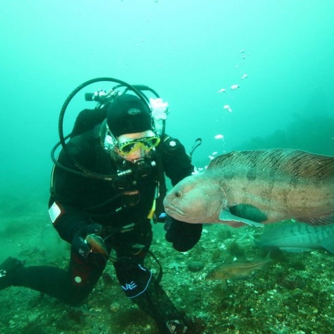 bcb3ffaa-323d-4097-94de-f0869192b99f_1_105_c