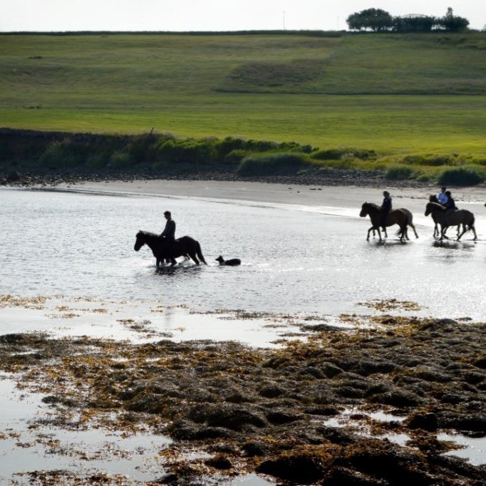 d1268ede-4f4c-42a0-af6a-d7f0233bbde0_1_105_c